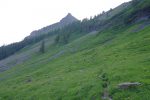 Voilà on bifurque au Plan de l'Eau Froide, et ça monte bien mais régulièrement.