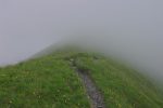 Et je continue ma route, à nouveau seul en direction de la Croix de Javerne et avec la brume