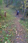 On remonte via une forêt