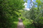 Le chemin est confortable, en forêt avec quelques trouées, tout en zig-zag et donc raide.