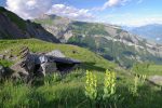 Guère en état l'abri