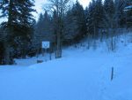 Début dans la forêt et à l'ombre, bref un peu froid !