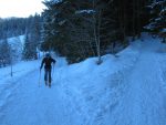 Il y a un raccourci en forêt, mais on préfère emprunter la clairière.