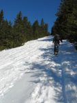 La trace est belle et la trouée dans la forêt nous mène au sommet.