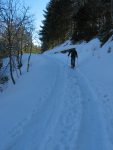 Montée douce mais à l'ombre.