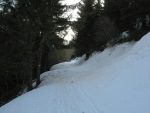 Vers 1300m, on bifurque à droite toute (chemin peu visible de loin), pour se diriger dans la forêt vers le Pt1461.