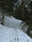 On commence un long passage en forêt, peu passionnant !