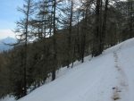 La forêt s'éclaircie et nous offre une petite vue sur les montagnes environnantes.