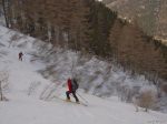 Et les aulnes sont de plus en plus envahissants, ski slalom mais c'est mieux que de passer par la forêt de la montée !
