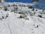 Et on redescend la combe de la montée au mieux