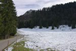 Départ depuis la route de la Dent de Lys, dans la clairière avant La Cuva 1257m. La neige a déjà fait son apparition. A se demander si les raquettes vont être utiles ...