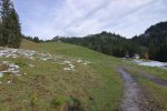 Après un passage en forêt, la vue se dégage et nous voyons la ferme de Vuipey d'en Bas (celle de gauche)