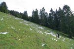 Au P1333, nous quittons la route pour prendre le chemin forestier vers Joux Sèche. Après expérience, il serait préférable de couper avant pour rejoindre La Chaux.