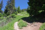 On sort de la forêt pour un chemin confortable