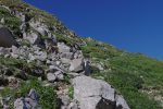 Sur le chemin, je croise un bouquetin, pas peureux du tout qui vient lécher les rochers.