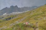 On découvre le Glacier du Dolent, je passerai plus tard dessous. Le Dolent est sous les nuages (à droite).