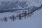 Fait rare : ivresse de poudreuse