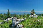 La vue s'ouvre sur le lac Léman et les Alpes, mais des arbres bouchent un peu la vue