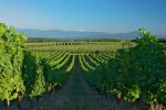 Pour rentrer, je passe par la route du Vignoble, avec une belle vue sur le Mont-Blanc.