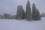 Je quitte la route pour chercher la glacière, grosse poudre dans ce champ