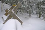 On enjambe ce mur de pierre sèche, dernière traversée de forêt avant la cabane