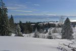 La vue s'est dégagée sur les Alpes