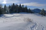 On quitte ce vallon pour les Fruitières de Nyon par la gauche