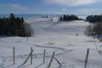 Une belle descente en vue pour rejoindre les Fruitières de Nyon