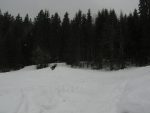 On traverse la route pour s'enfonce dans la forêt