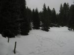 On débouche dans la clairière de Couvaloup de Crans, on tourne à gauche