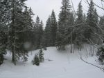 Et je descends dans le Bois de Couvaloup