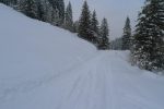 On retrouve le lieu de notre pause avant de partir à travers le Bois de la Rollaz