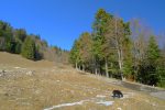 On longe la route, juste pour s'enfoncer dans la clairière devant