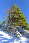 Un massif que j'aime bien, on a perdu le sentier après