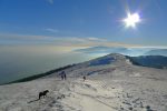 Vu le vent glacial, la famille fait déjà demi-tour