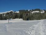 On part dans le pâturage de Gros Pâquier, en suivant les traces des raquetteurs.