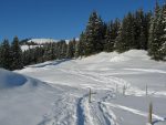 Toujours le pâturage de Gros Pâquier