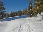 La couche de neige est bonne et il y a du fond !