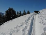 Valdine la chienne, décide de passer devant moi, elle était jusqu'à présent derrière moi dans mes traces.