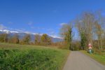 On quitte Dardagny pour longer une route en forêt