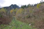 On passe sur un chemin forestier, un peu boueux parfois