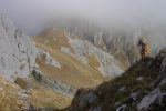 Un bouquetin domine son monde, le col de Planchamp où nous allons passer.