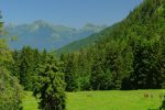 Sur notre gauche, belle vue sur la Dent de Jaman, Rochers de Naye, Col de Chaude et Pointe d'Aveneyre