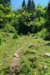 Forte chaleur, les passages en forêt sont donc appréciés