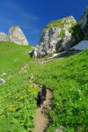 Le sentier est tranquille, un reste de névé apprécié par les chiens