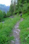 Puis traversée pour rejoindre la forêt