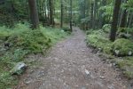 Puis un dernier petit passage en forêt pour retrouver le parking