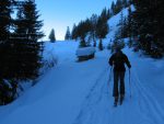 On poursuis le long de la route, sur le tas de bois, on peut évaluer la hauteur de la neige.