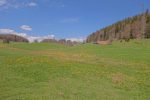 Les Sagneules, point de sphaigne