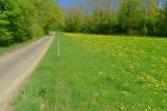 On longe toujours la route, mais bientôt en forêt